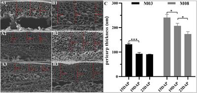 Integrative analysis of transcriptome and miRNAome reveals molecular mechanisms regulating pericarp thickness in sweet corn during kernel development